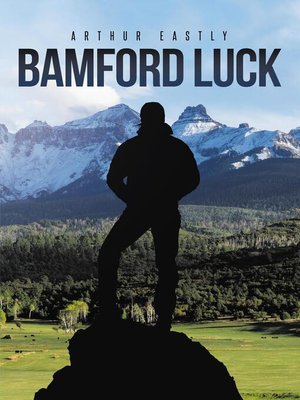 cover image of Bamford Luck